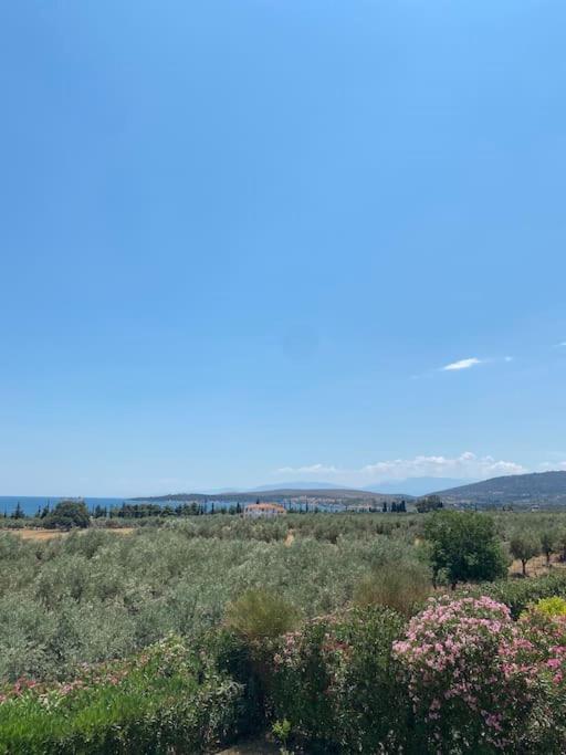 Georges Villa Galaxidi, Family, Pool And Garden Exterior photo