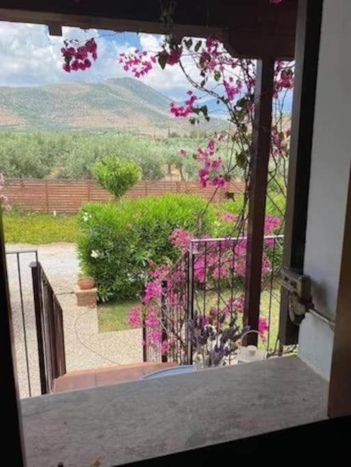 Georges Villa Galaxidi, Family, Pool And Garden Exterior photo