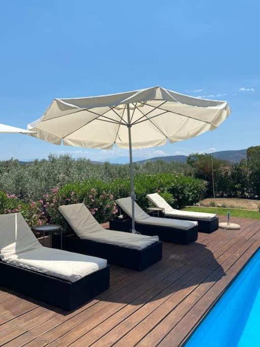 Georges Villa Galaxidi, Family, Pool And Garden Exterior photo
