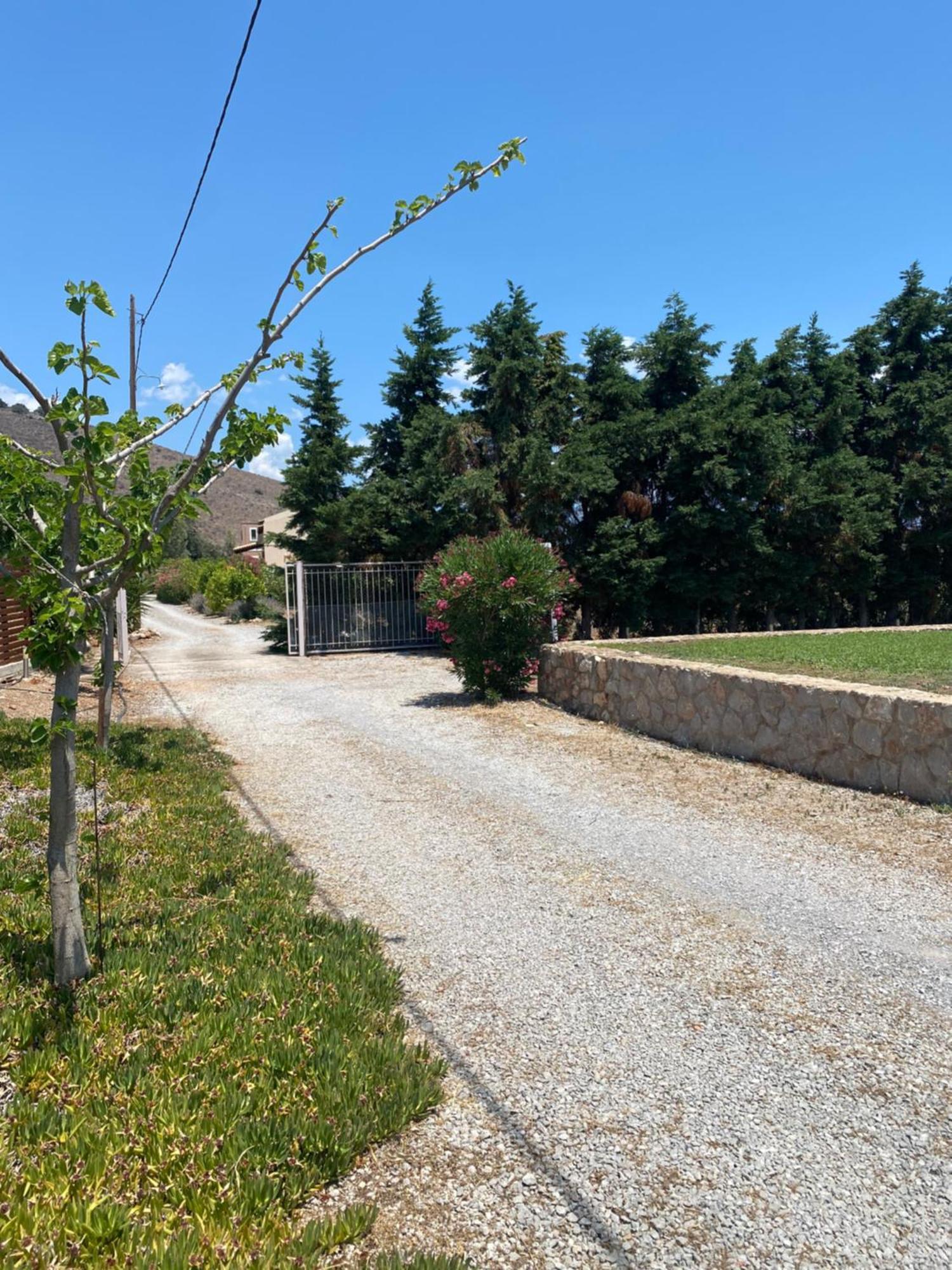 Georges Villa Galaxidi, Family, Pool And Garden Exterior photo